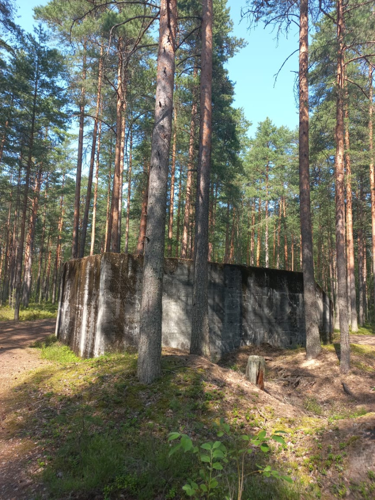 Дот на линии Маннергейма, фото Ю. Егорова