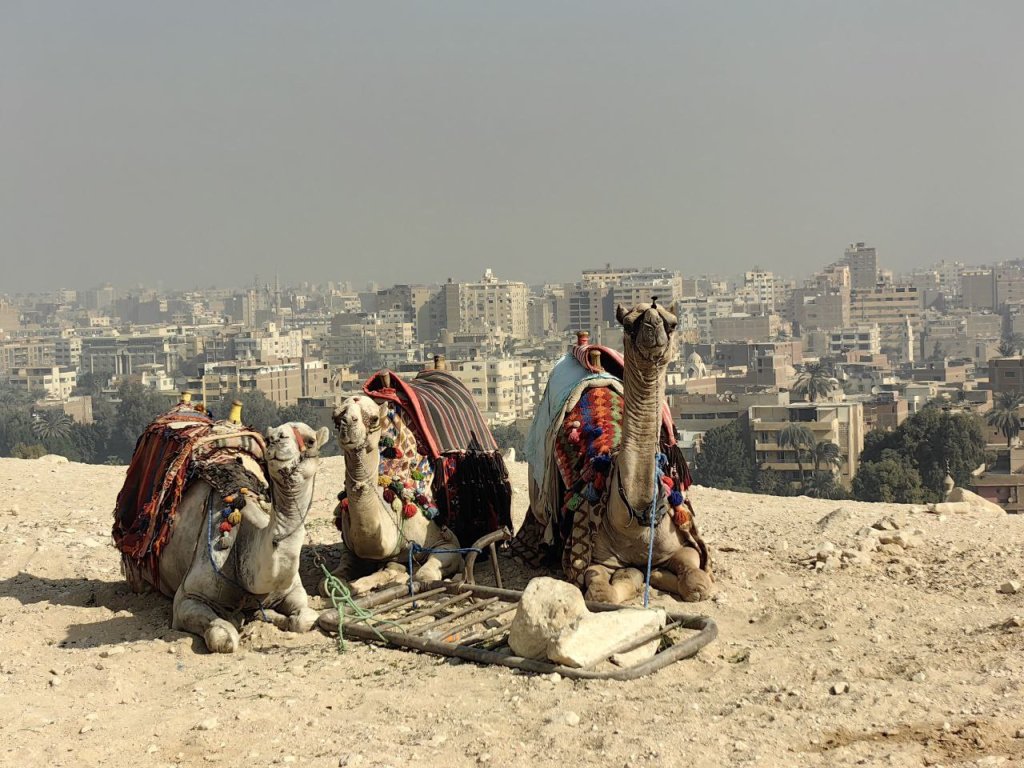 Египет, фото из прошлого путешествия