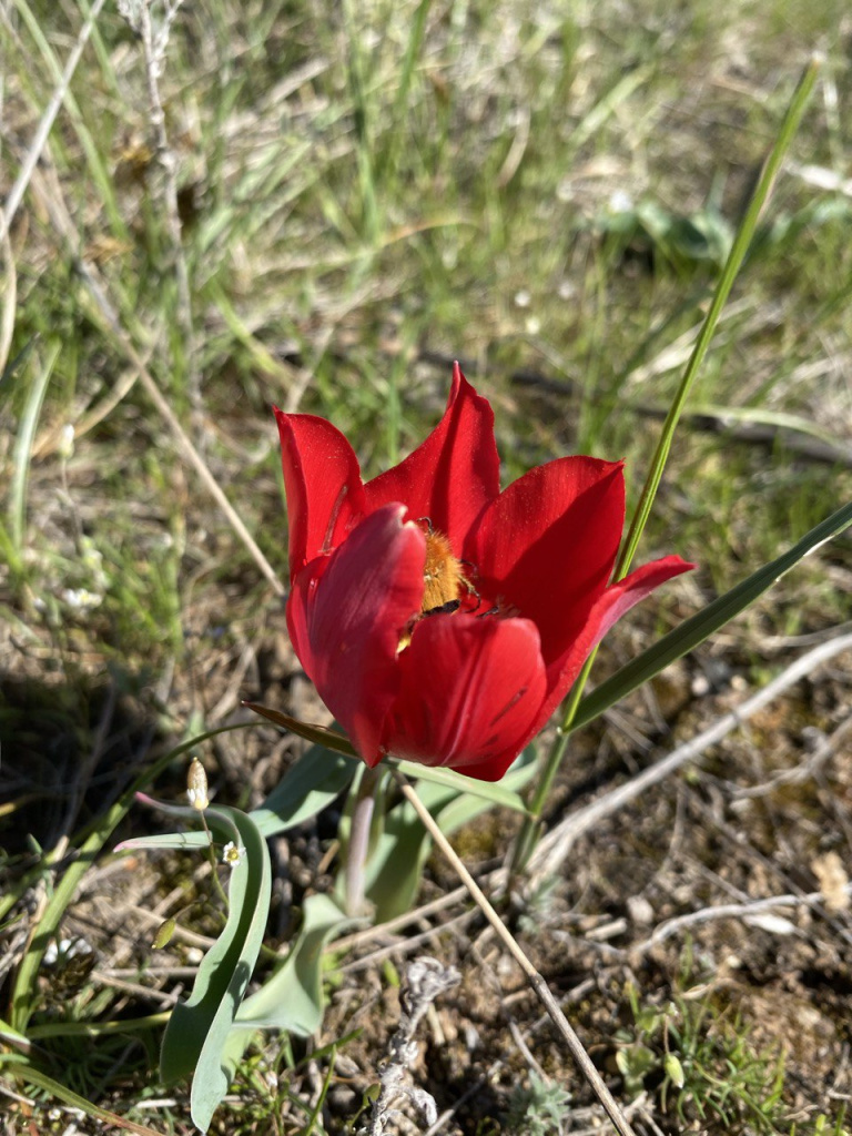 Калмыкия, фото путешественников МКН