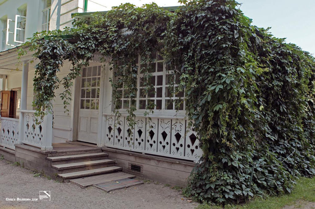 Ясная поляна, фото О. Акининой
