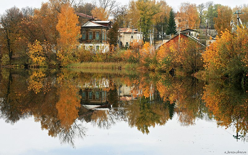 Дубенский пруд с видом на Мосоловский дом