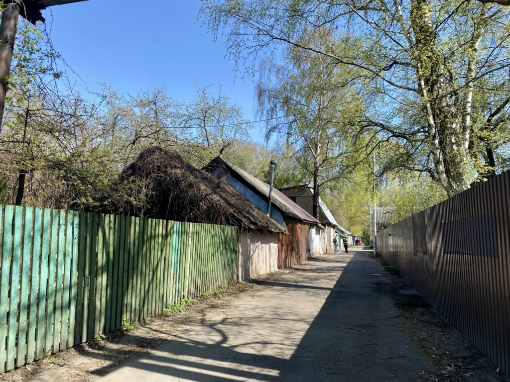 Фото Елены Фоминой