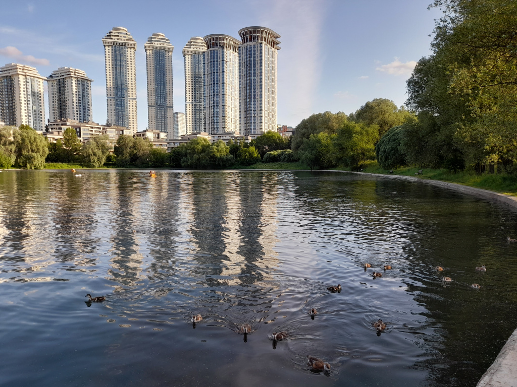 сетунь.jpg