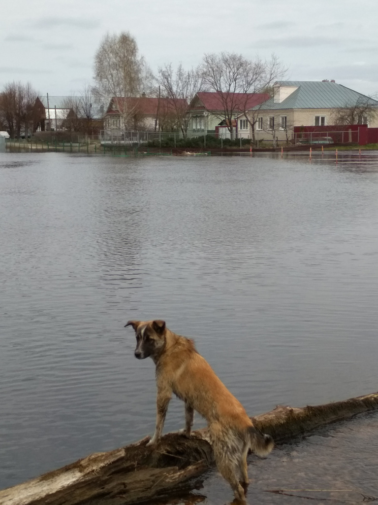 Речка Мстёрка