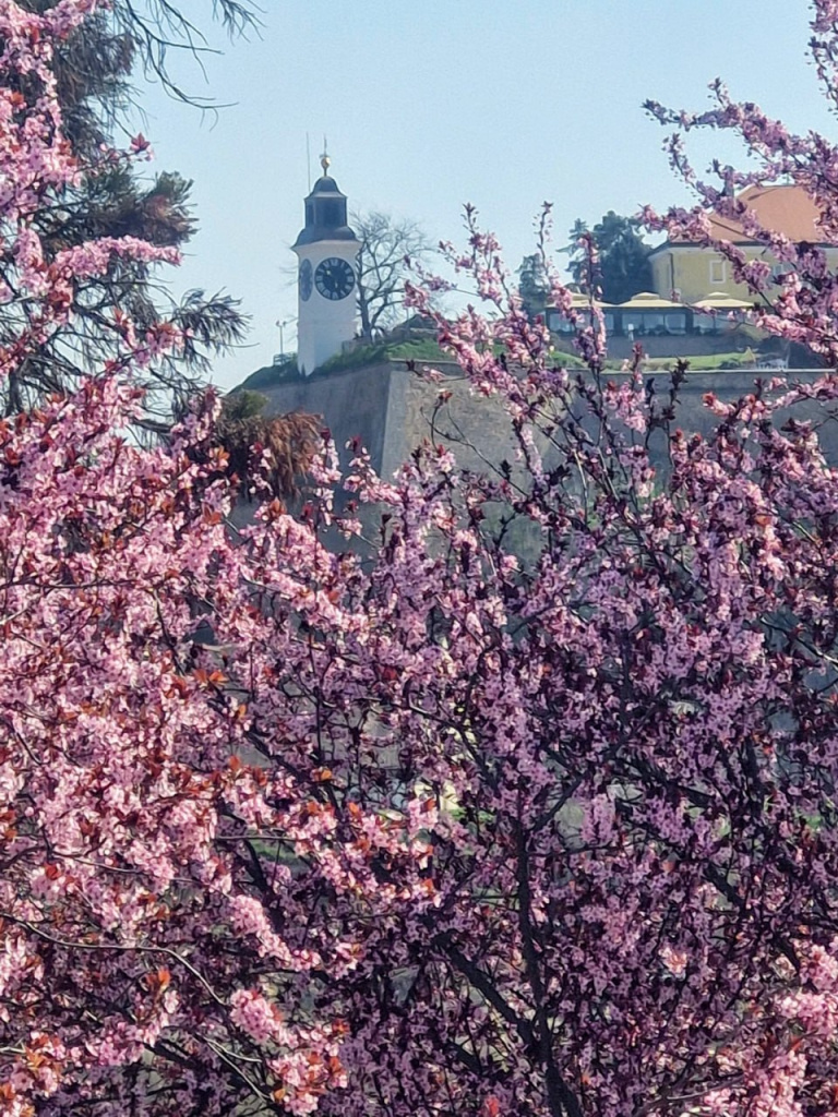 Нови Сад, фото Елены Алексеевой