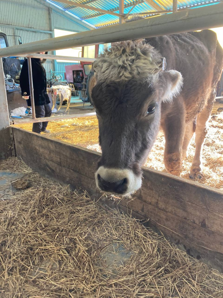 Ферма, фото Ю Мезенцевой