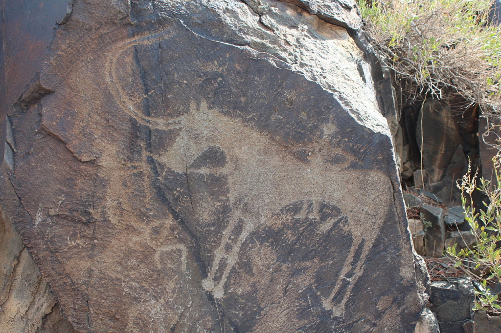 1280px-Tamgaly_Petroglyph_Horse.jpg