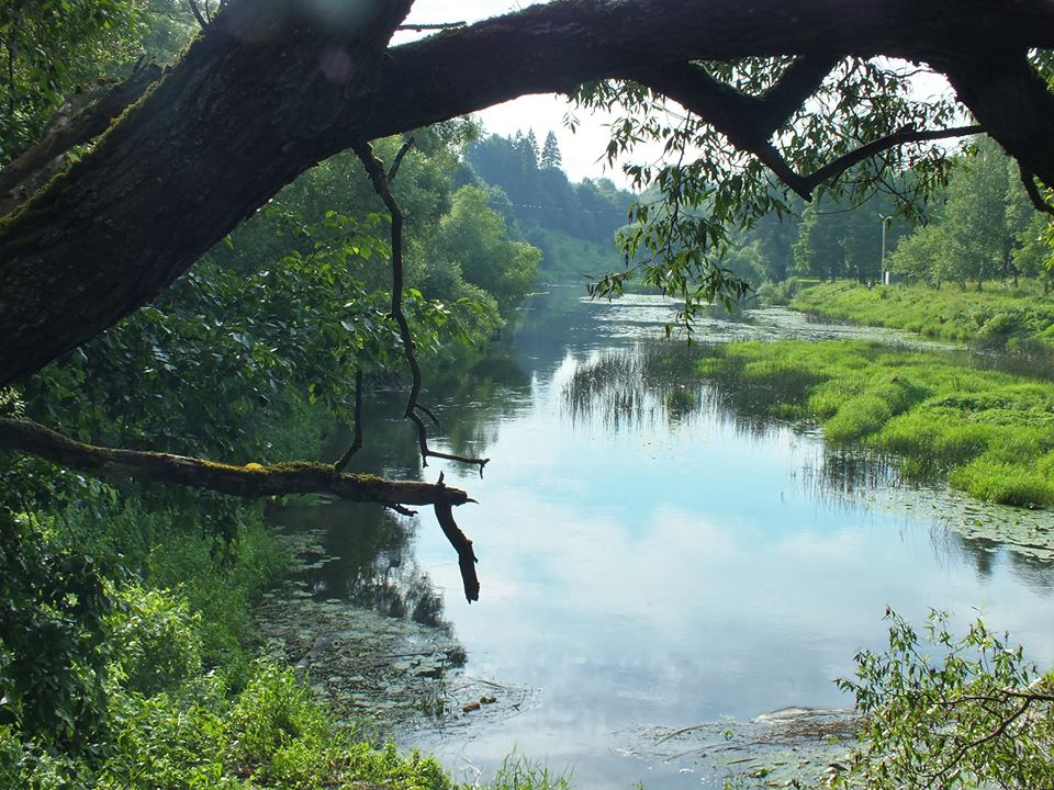 Река Протва, фото Александра Фролова.jpg