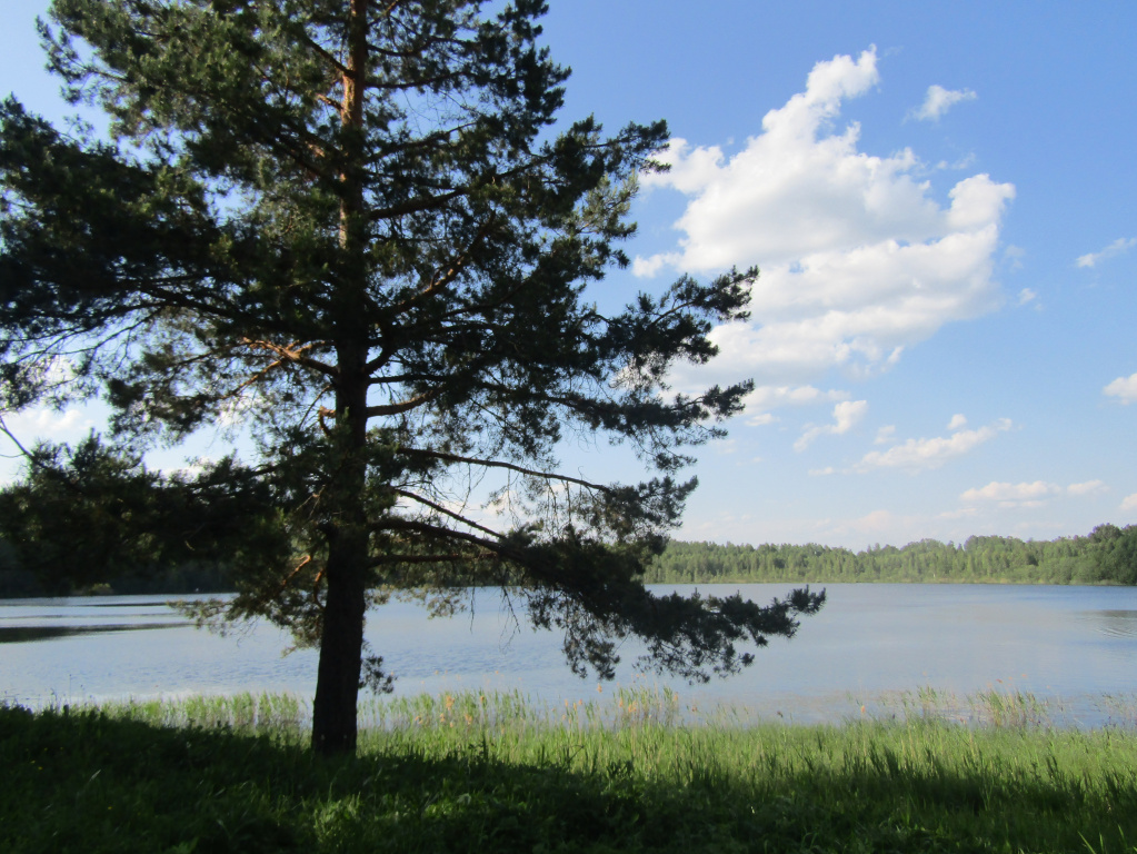 Озеро Светлояр, фото В. Азаровой