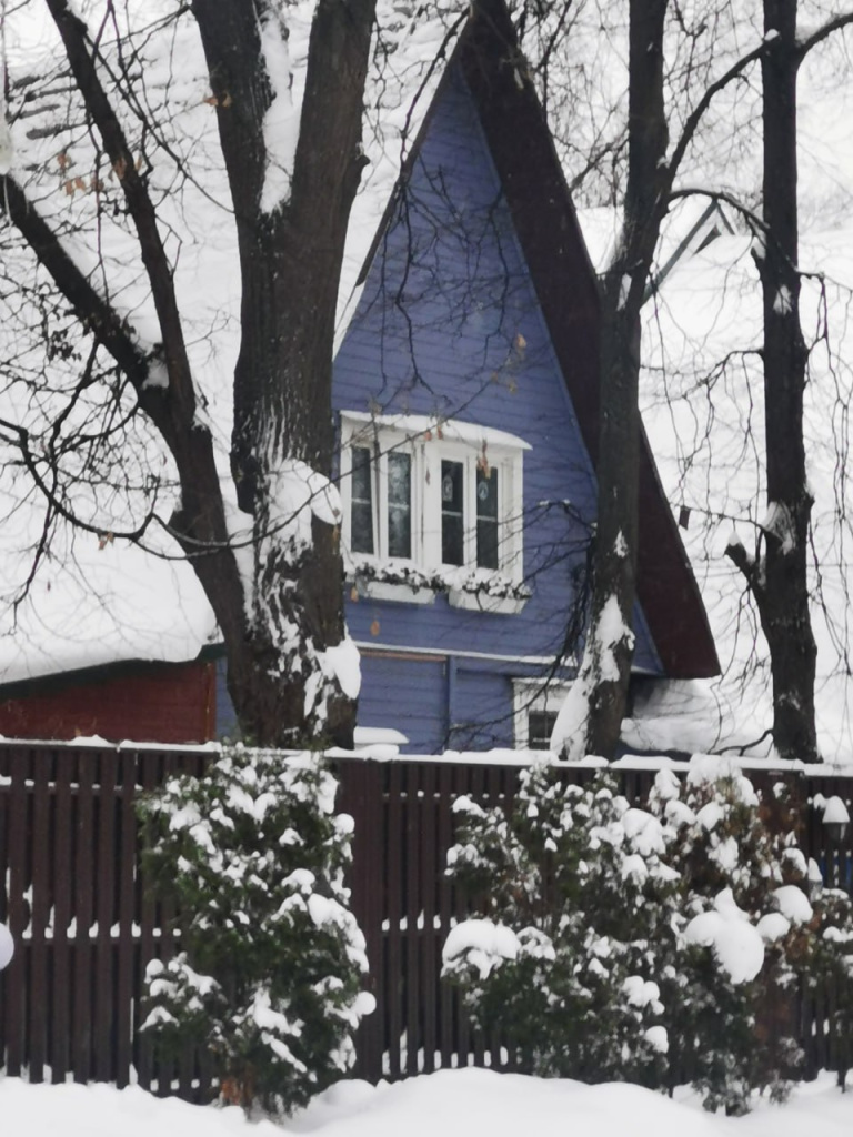 Фото Е.Плисса