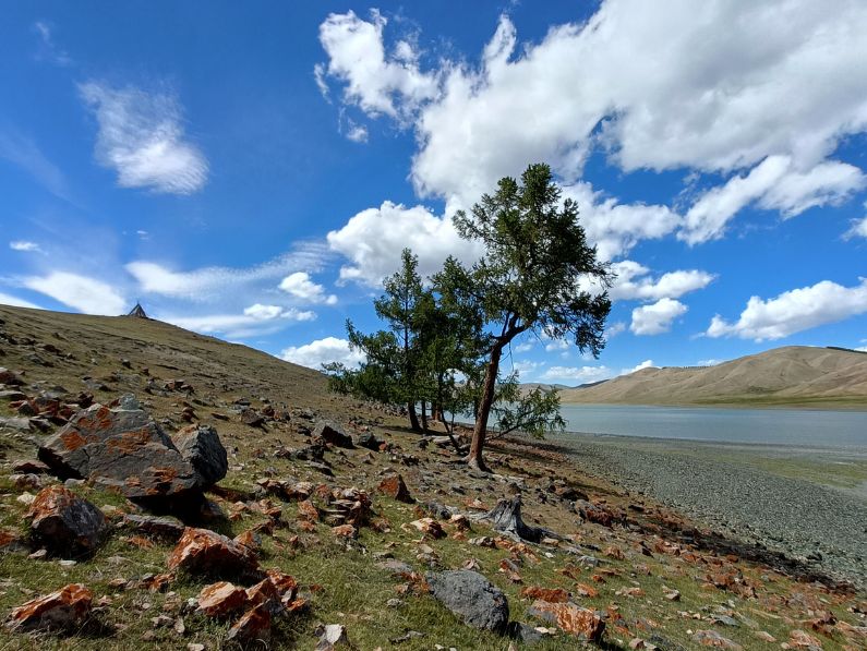 Монголия, фото Д. Тогошеевой