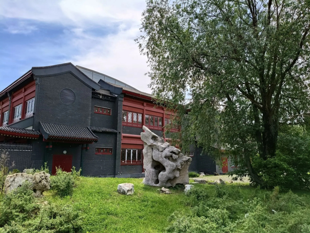 фото Аллы Станкевич